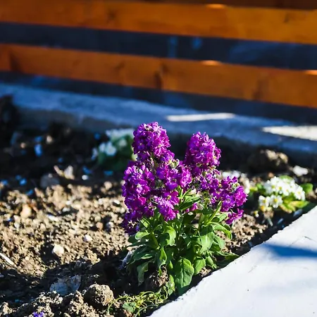 빌라 Kuci, Drobonik 베라트