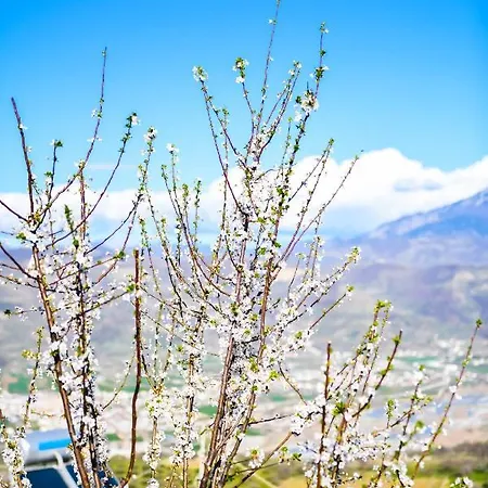 Kuci, Drobonik * 베라트