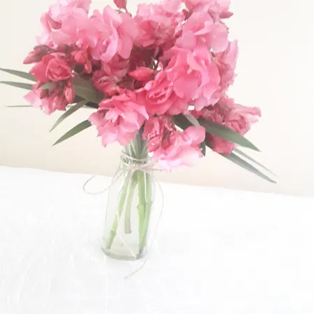 Villa Kuci, Drobonik *