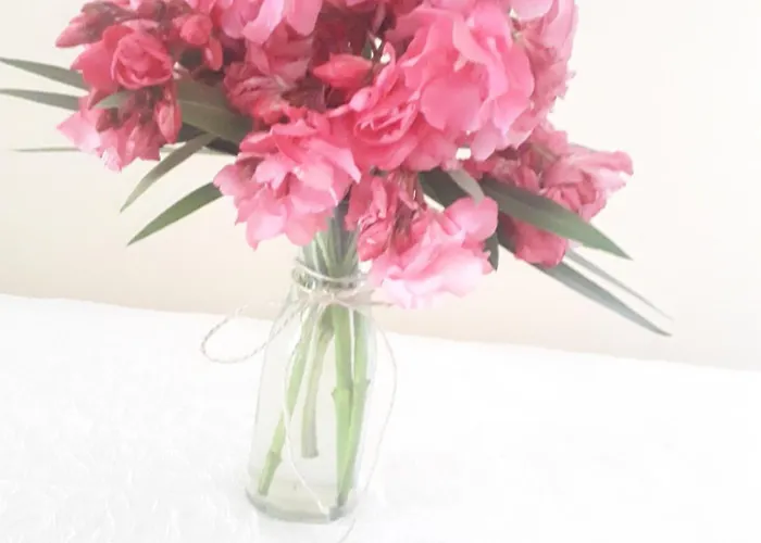 Villa Kuci, Drobonik *